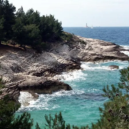 Pensionat With A Parking Space Premantura, - 7463 Medulin