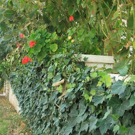 With A Parking Space Premantura, - 7463